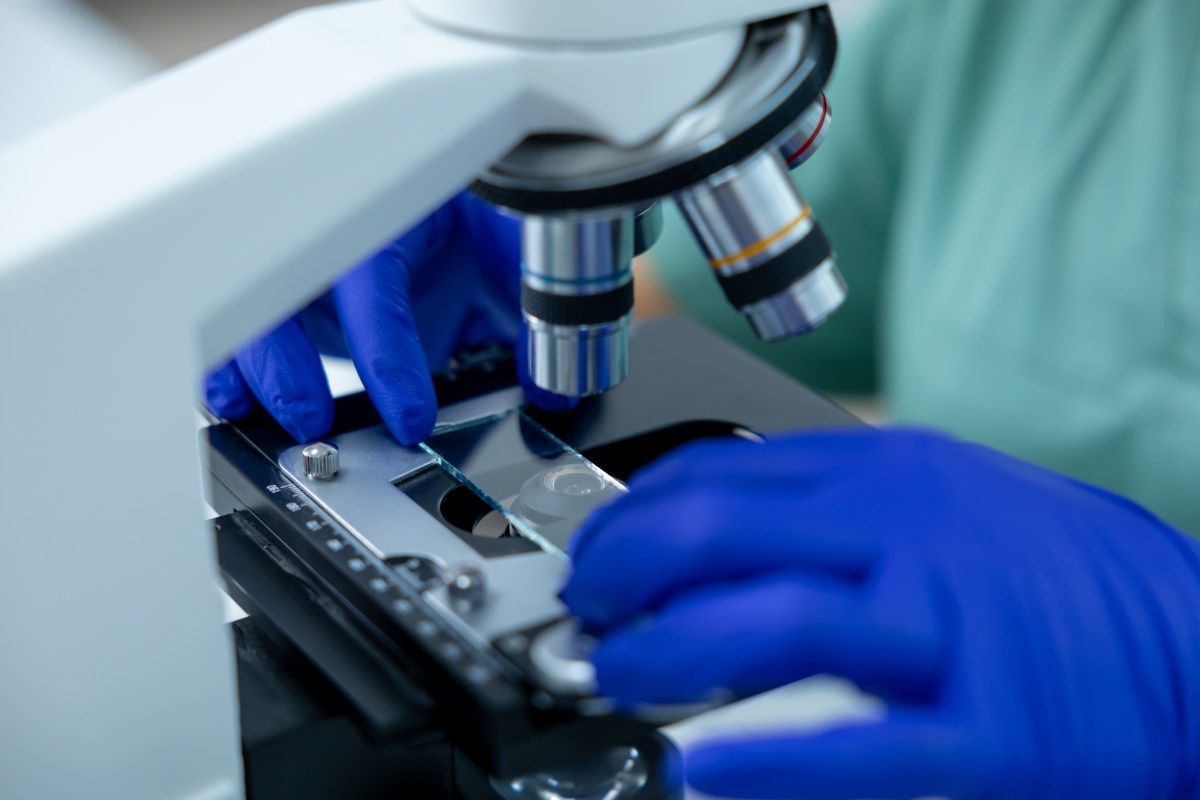 Some Cancers Resist Treatment. Scientists Might Have Found Why