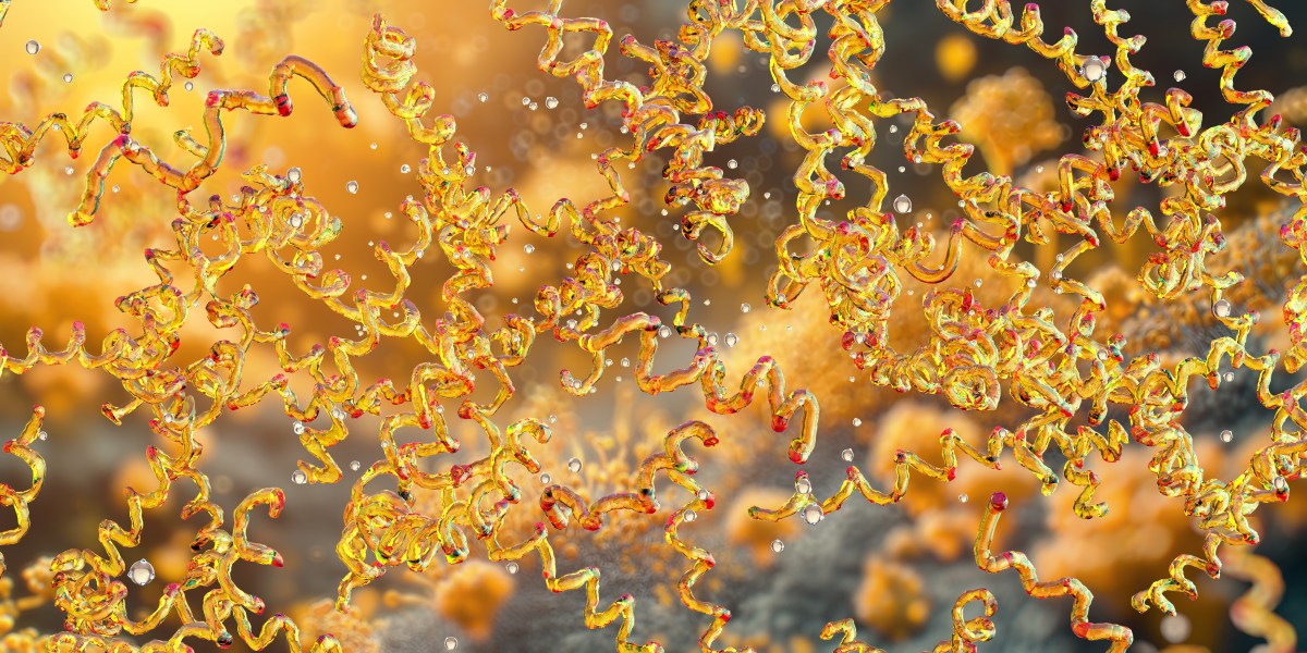 Patient Treated for Lyme Disease Actually Had a Rare Virus—With No Cure