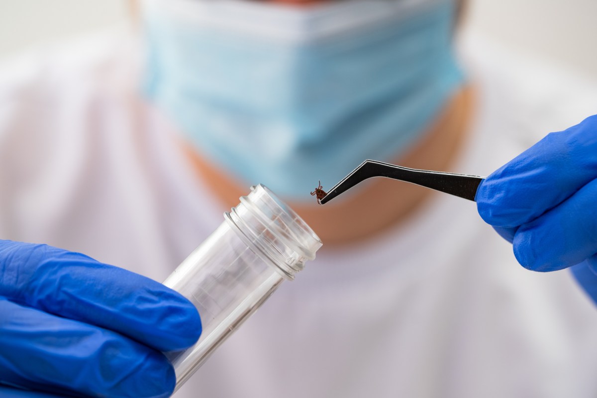 Lyme Disease Breakthrough Could Soon Be Sold at Hardware Stores