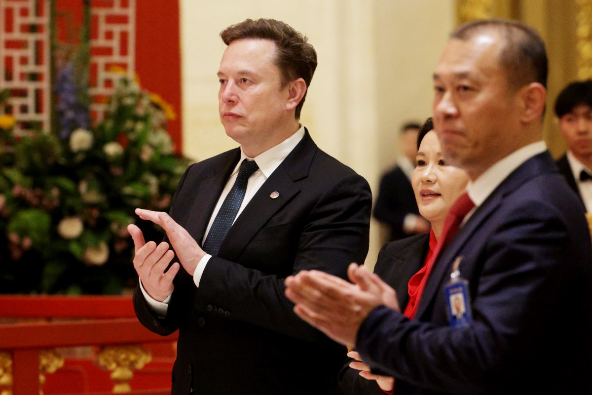 What Are Elon Musk& 039;s Business Interests in China?