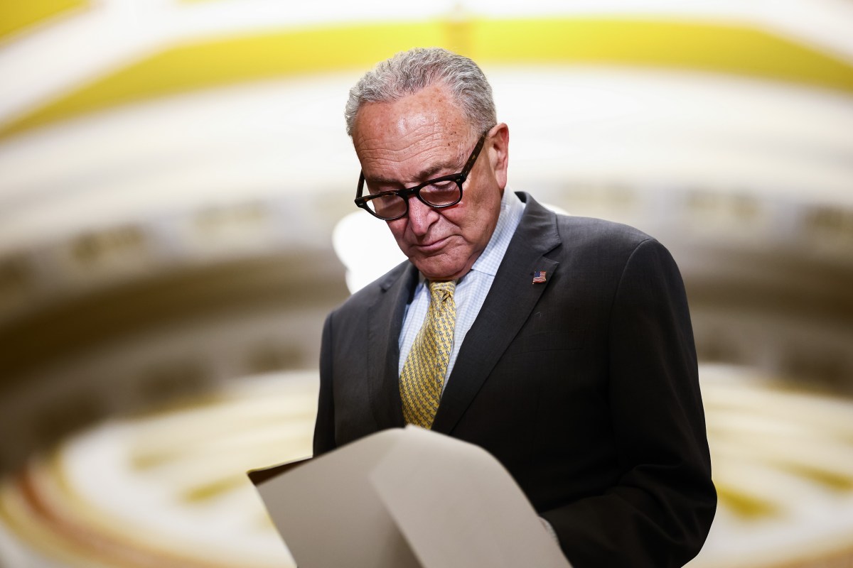Trump's Midterm Election Plot: Democrats Fear Nightmare Scenarios