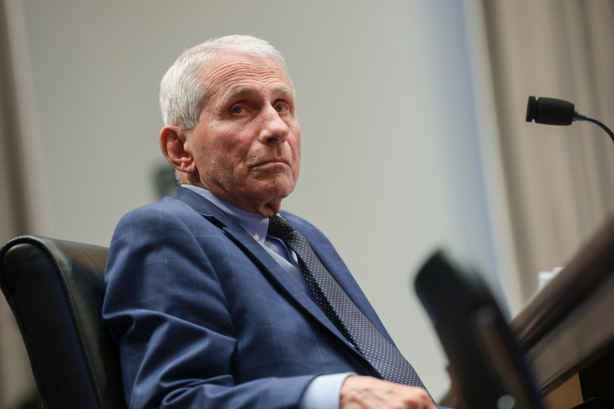 Fauci Probe: Florida Lt. Governor Jay Collins—'Let's Get This in Court'
