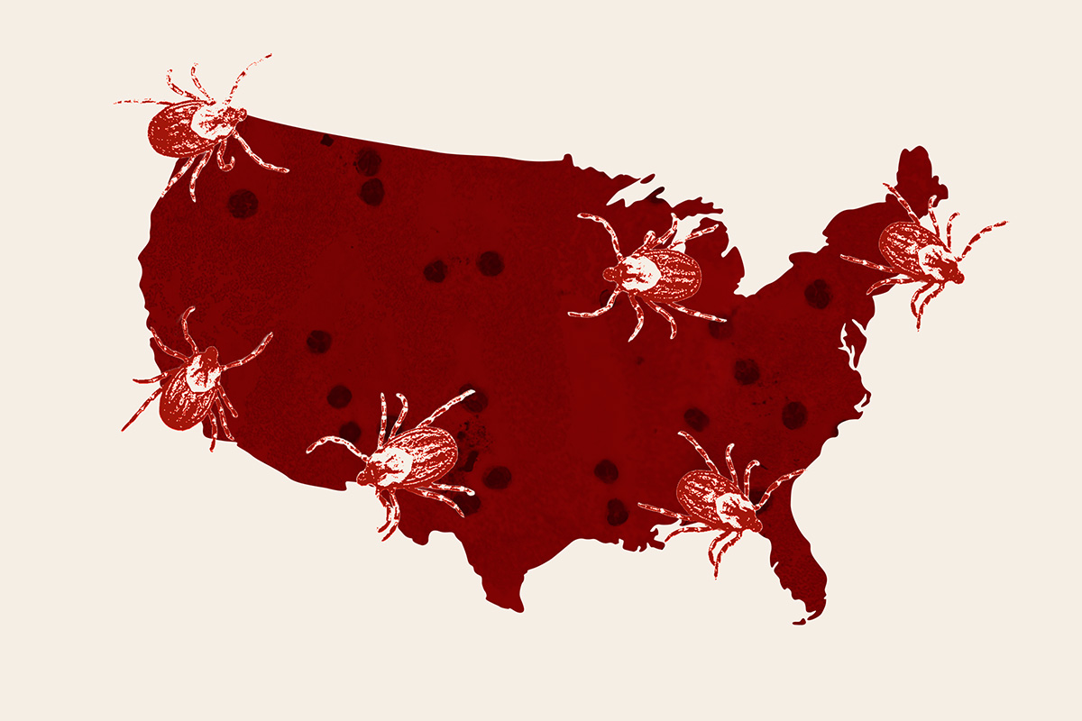 A Tick-Borne Disease With No Warning Rash Is Spreading Across the U.S.