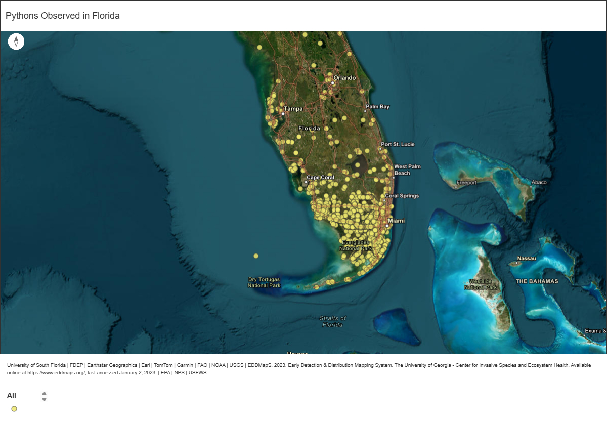 Maps Show Spread Of Burmese Pythons As Hunting Challenge Begins Newsweek Pythons Observed In Florida 