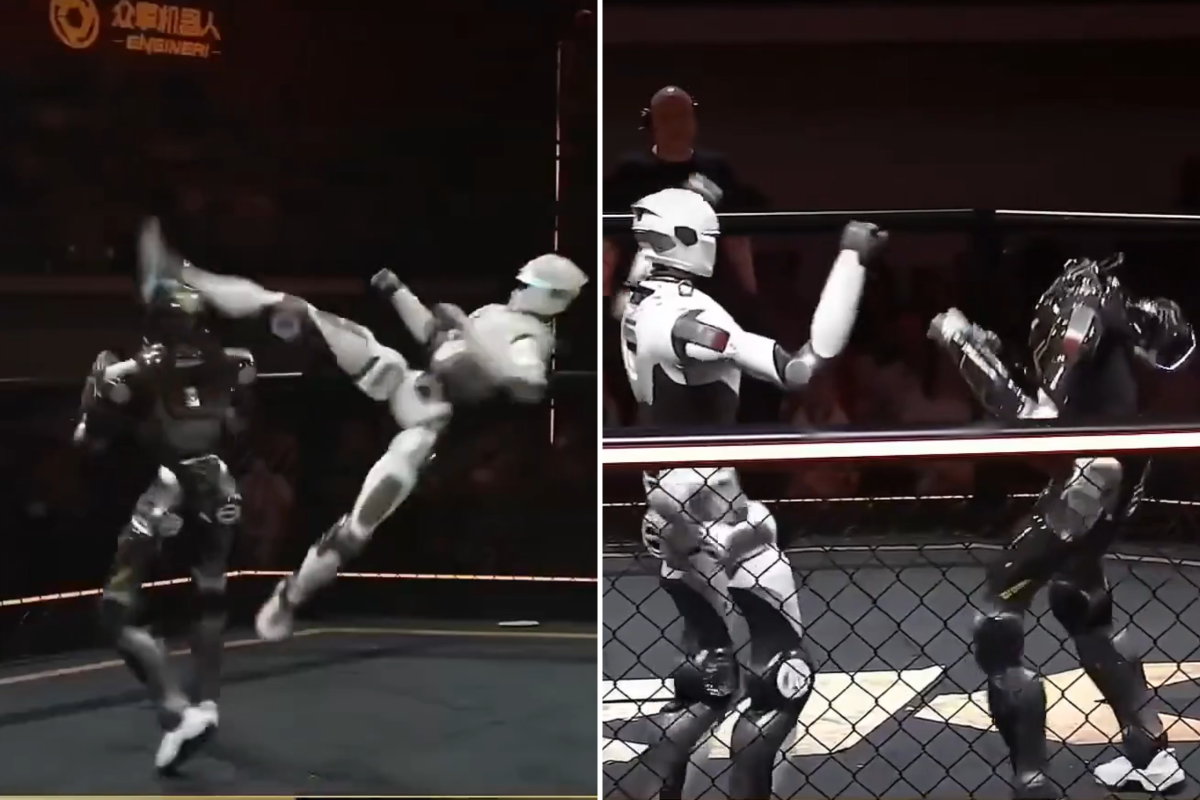 Robot Decapitated in World&rsquo;s First-Ever Humanoid UFC Fight