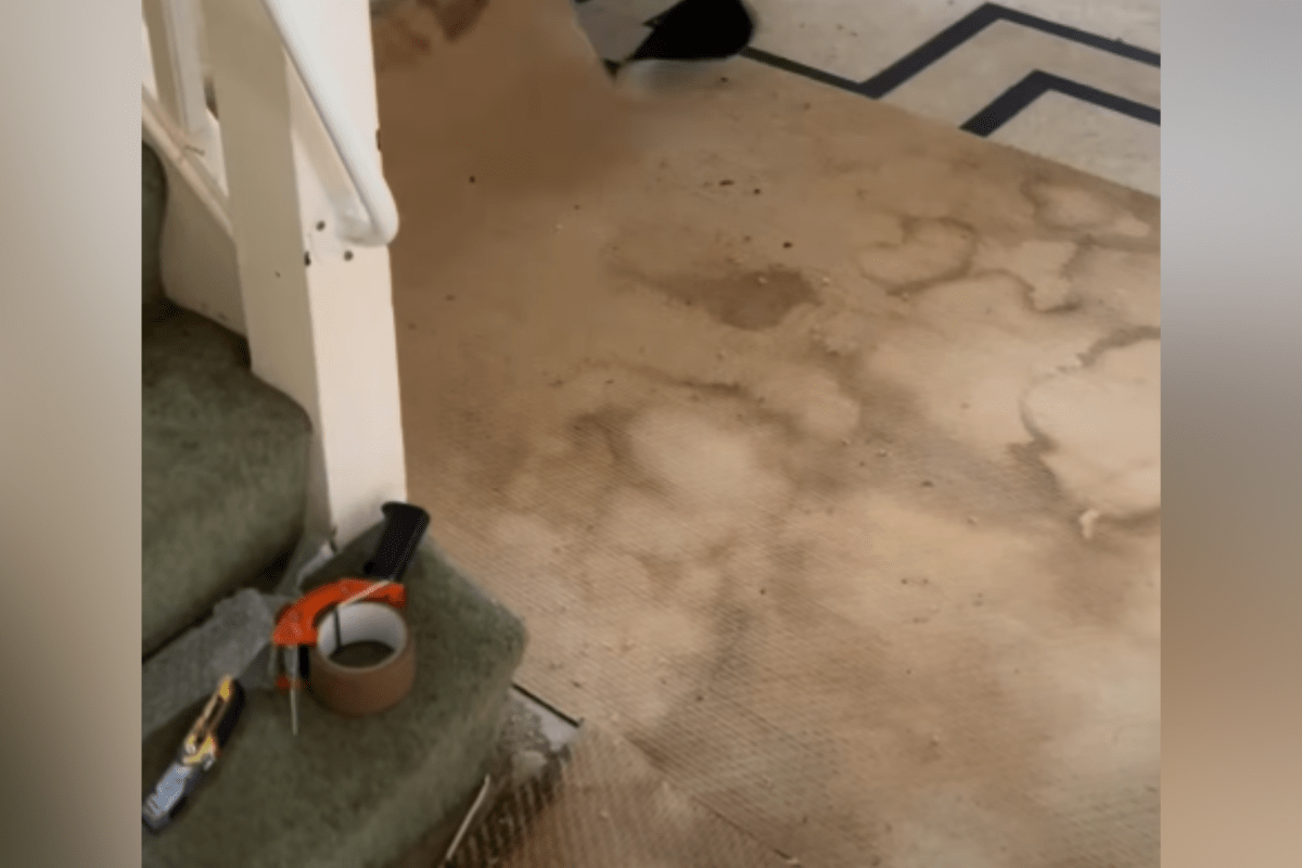 Couple Renovate Century-Old Home—Realize They’ve ‘Hit the Jackpot’ on Day 1