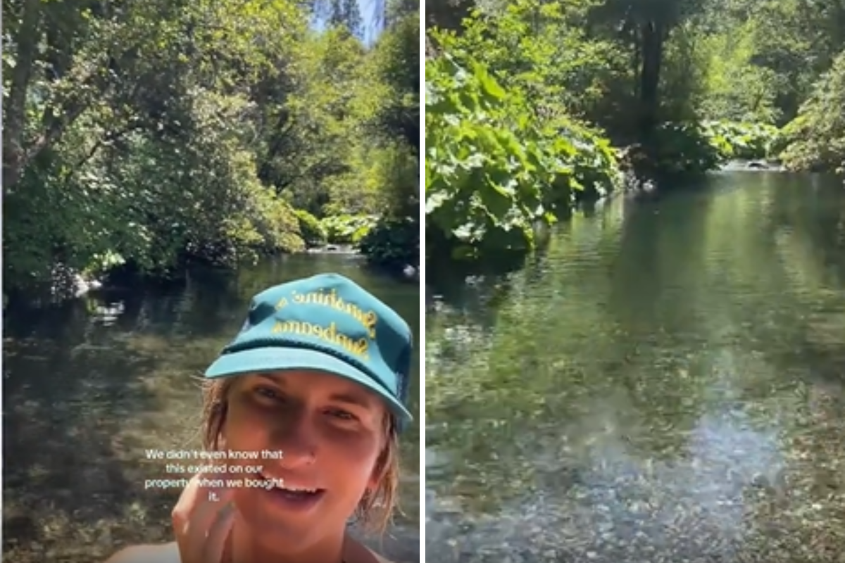 Couple Buy 40 Acre Plot&mdash;a Year Later Discover Something Hidden on the Land