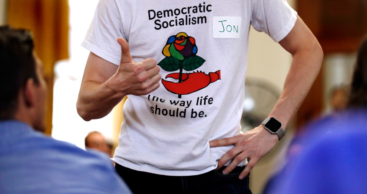 Is the DSA Platform Unpopular? What Polls Reveal About 5 Key Issues
