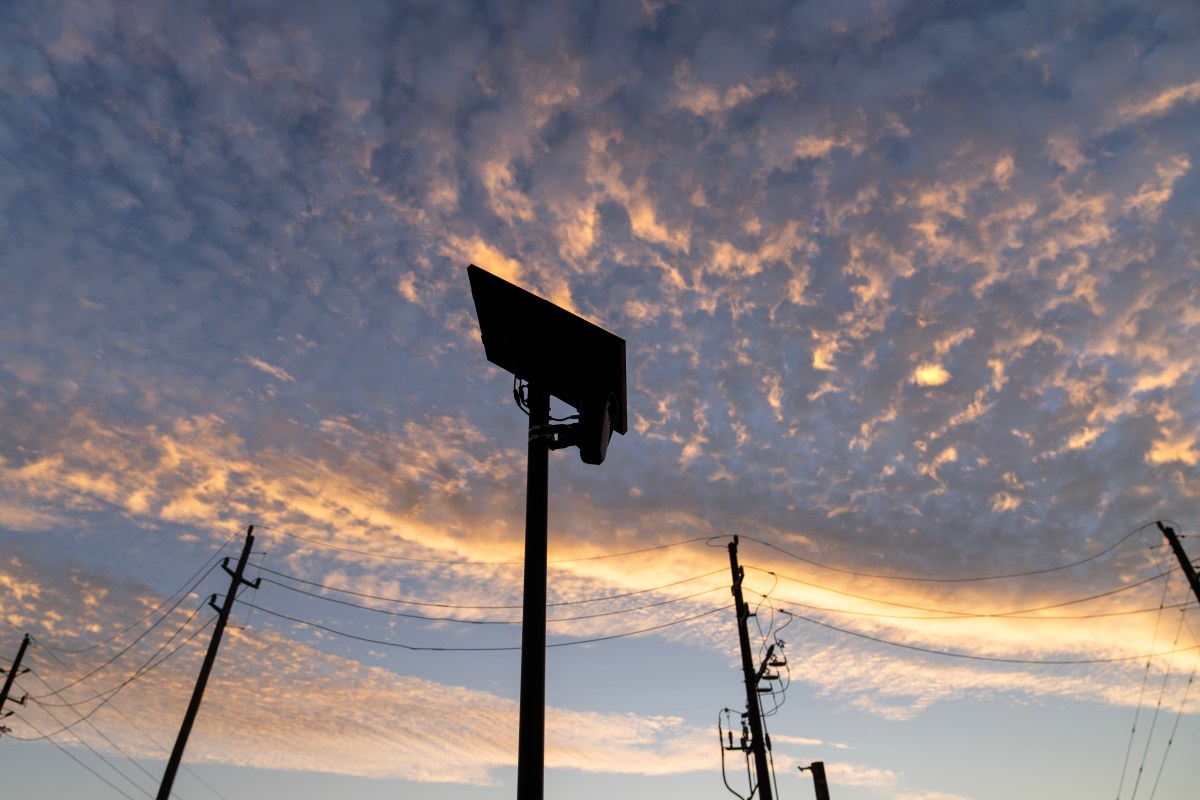 Flock CEO Says 'Goal Isn't a Dystopian Future'