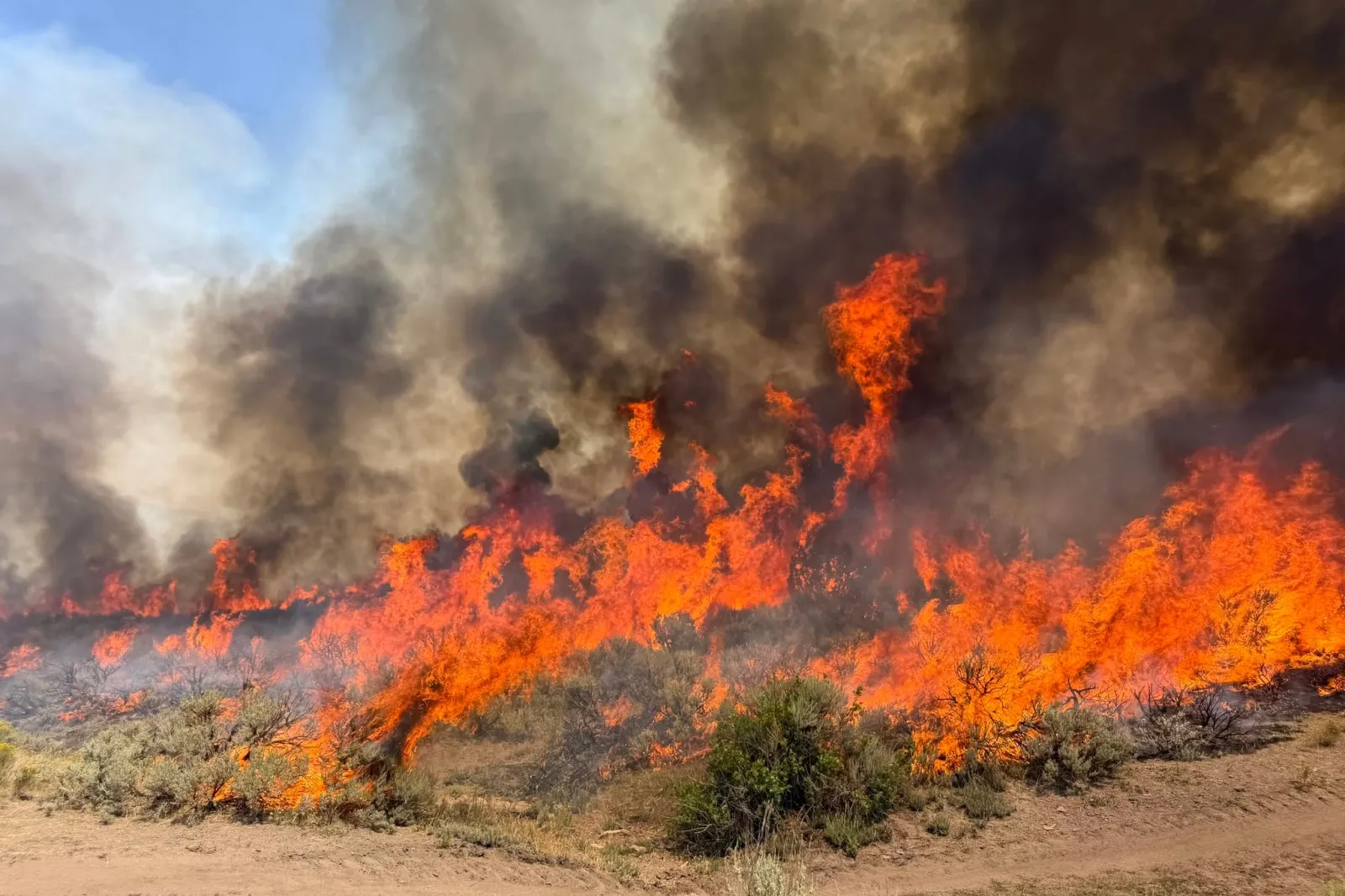 This undated photo provided by the U.S. Forest Service on August 7 shows the Widemouth 2 wildfire burning near Richfield, Utah. (U.S. Forest Service/Fishlake National Forest via AP)