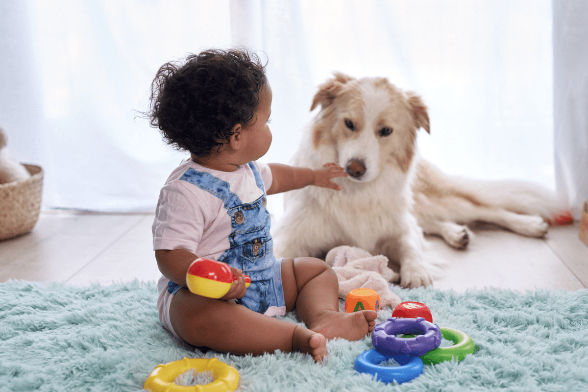 Families With Dogs May Be Giving Babies an Immune System Boost