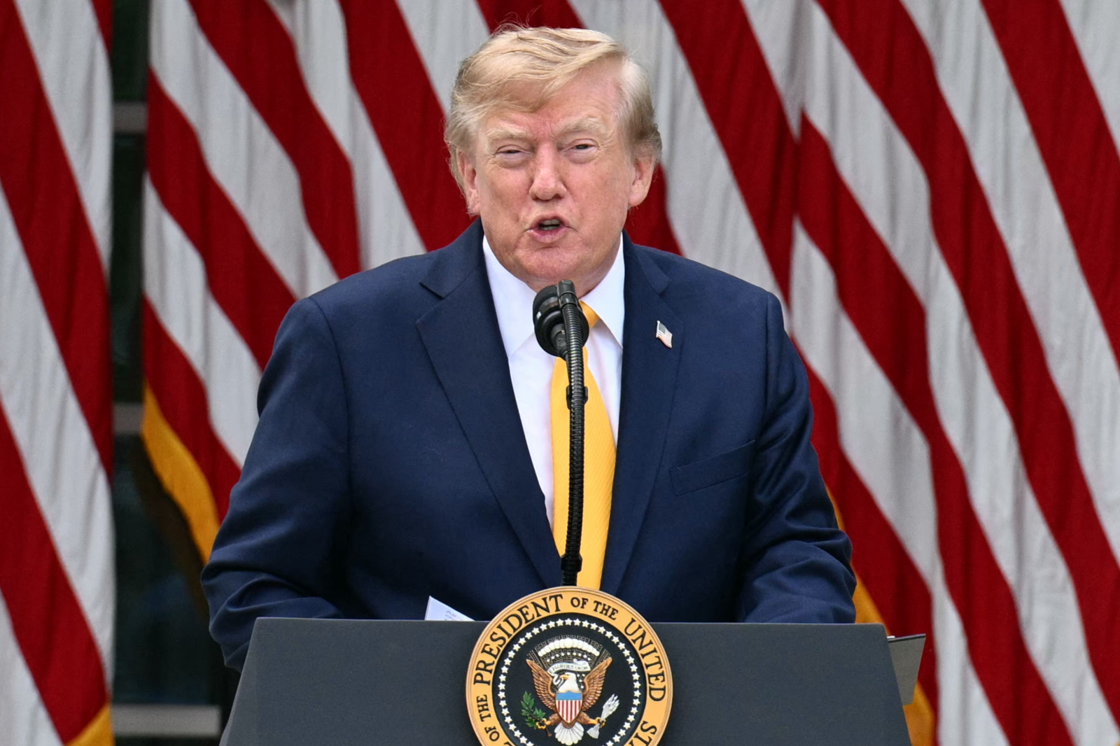 US President Donald Trump speaks in the Rose Garden of the White House in Washington, DC, on August 24, 2026.