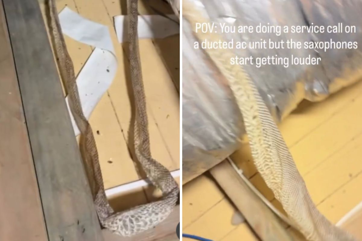 Worker Goes to Service AC Unit, Then Makes Chilling Find in the Attic