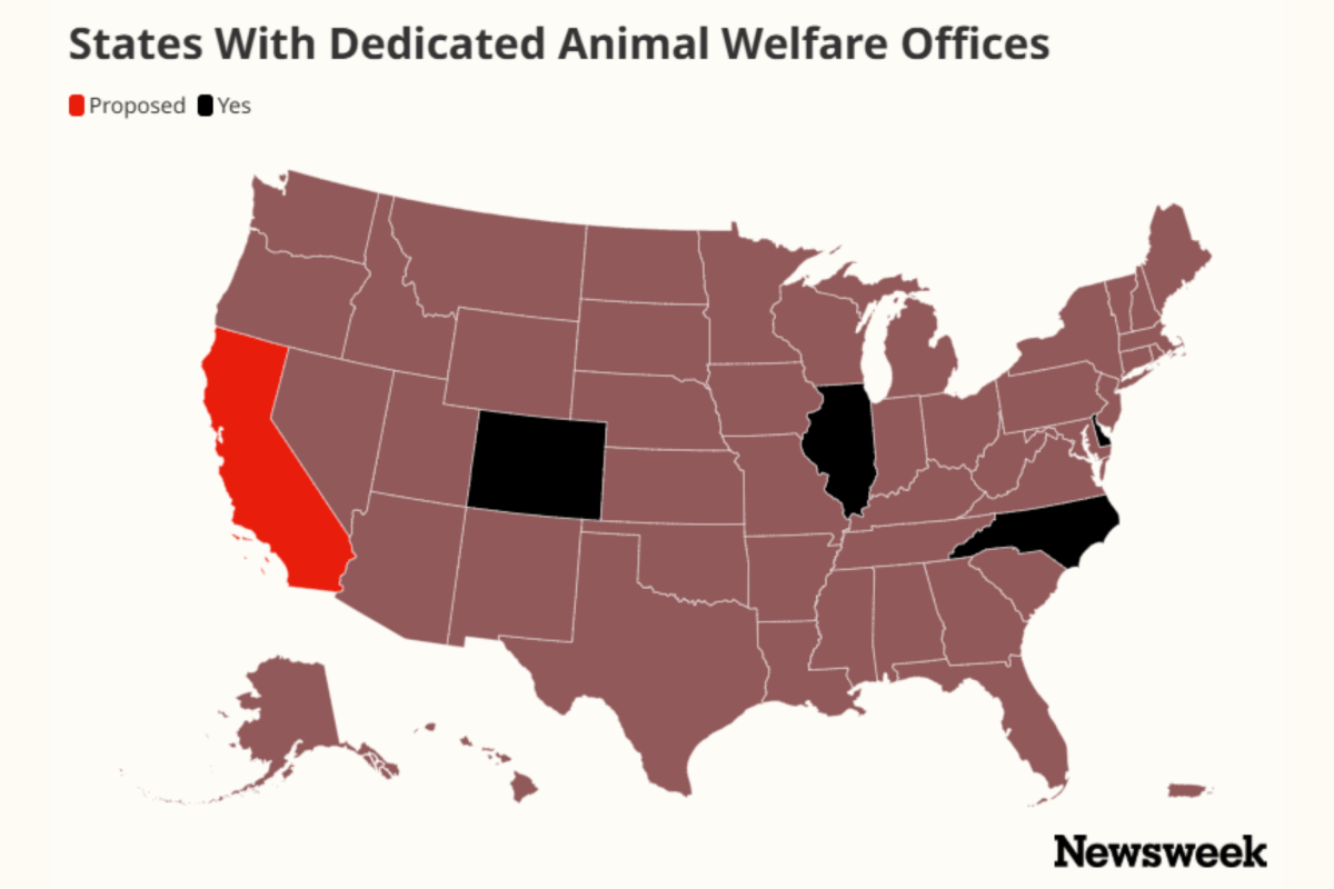 Map Shows States With Dedicated Animal Watchdogs as California Calls Grow