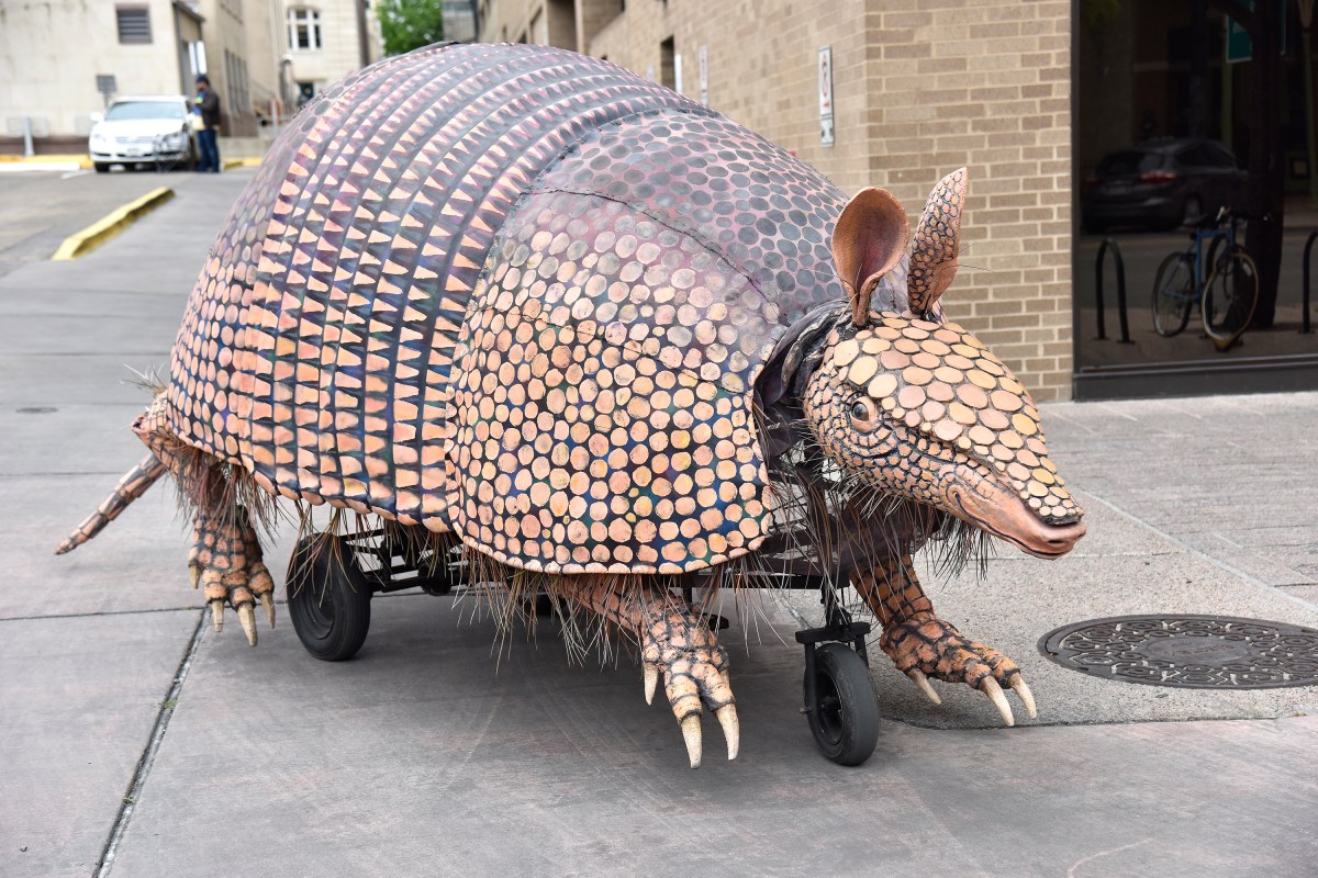 Big 12 Coach Shot an Armadillo