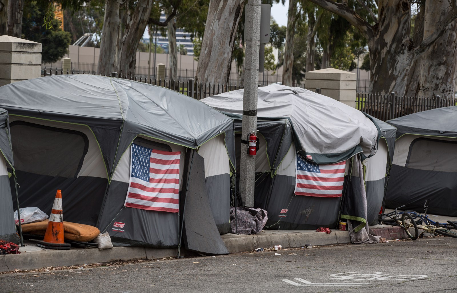 newsweek.com - Aliss Higham - Homeless veterans could get free food, phones and transport under VA plan