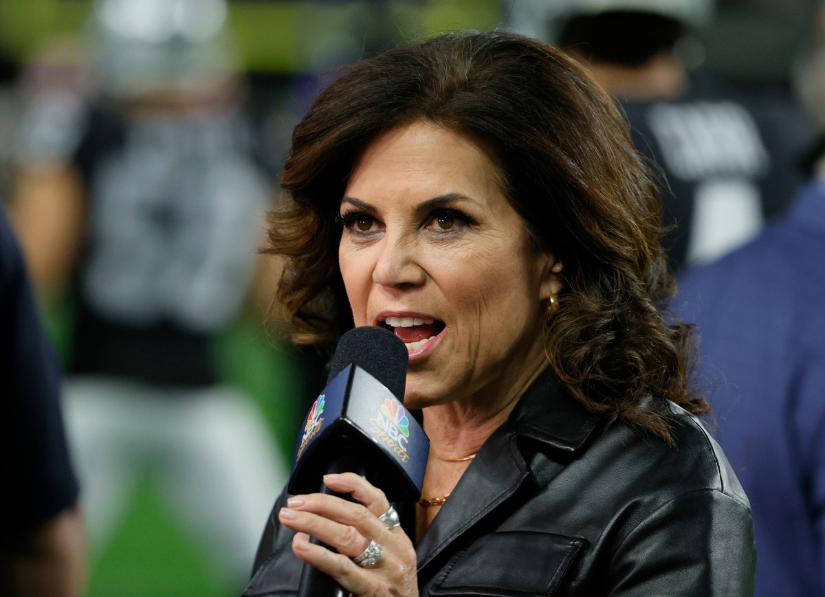 Michele Tafoya Family: All About Husband Mark Vandersall and Kids