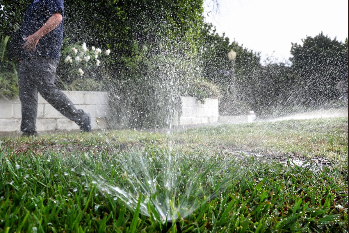 City's Soaring Water Bills Spark Anger, Official Investigation