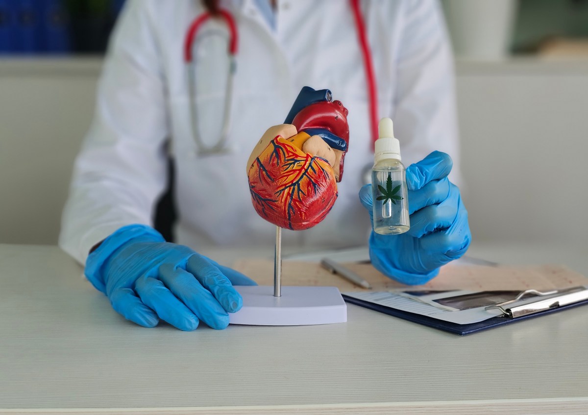 Scientists Tracked Cannabis Users' Hearts Day by Day—One Finding Stood Out