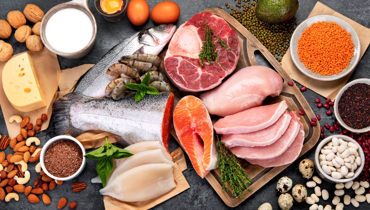 America's Protein Obsession May Reduce Life Span, New Research Shows