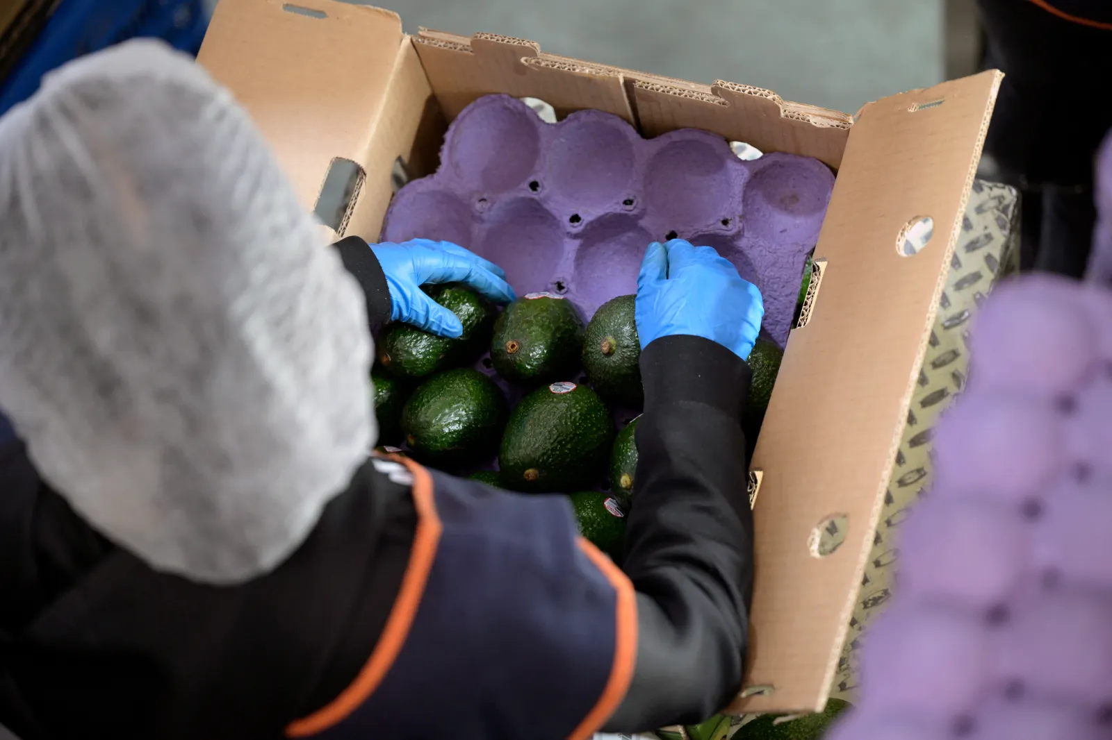 A worker packs avocados at a packing plant in the municipality of Uruapan, Michoacan state, Mexico, on February 5, 2025.