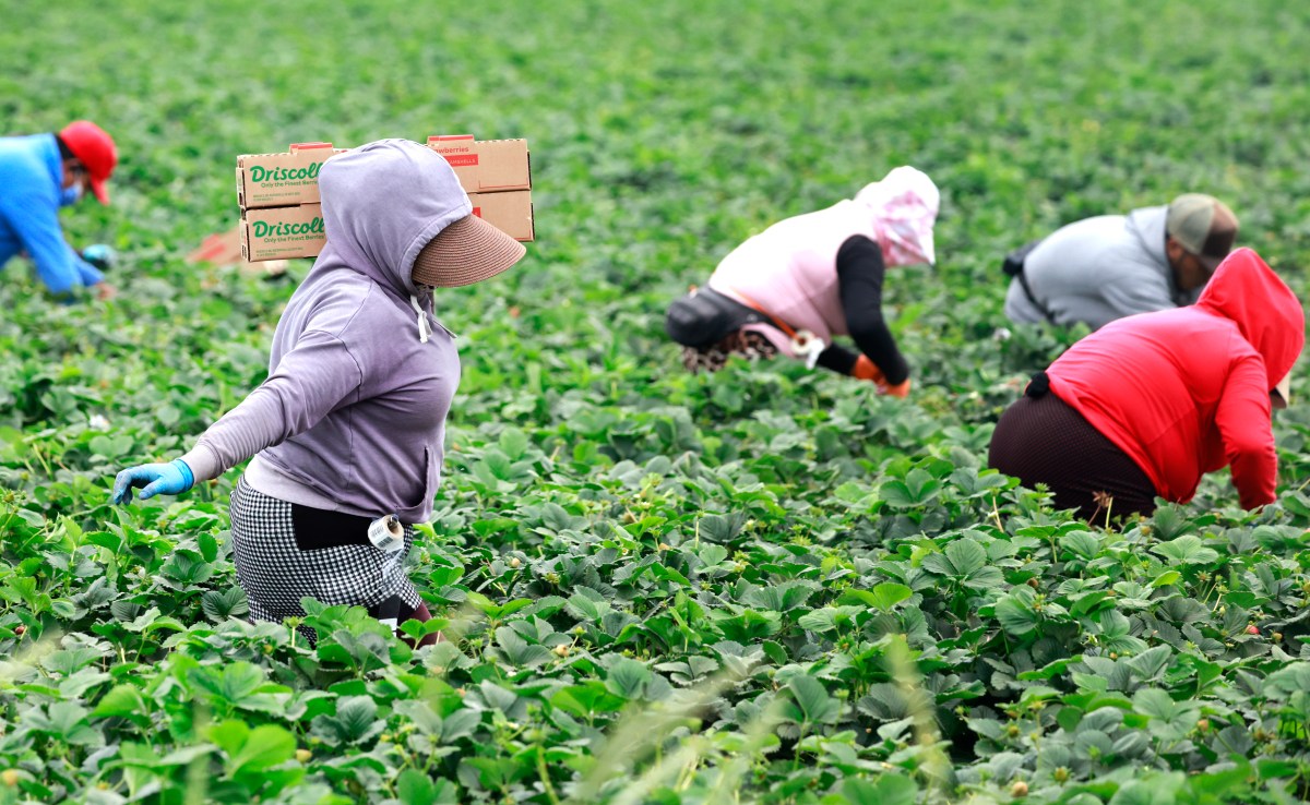 New Visa Proposal Would Let States Bring in Migrant Workers