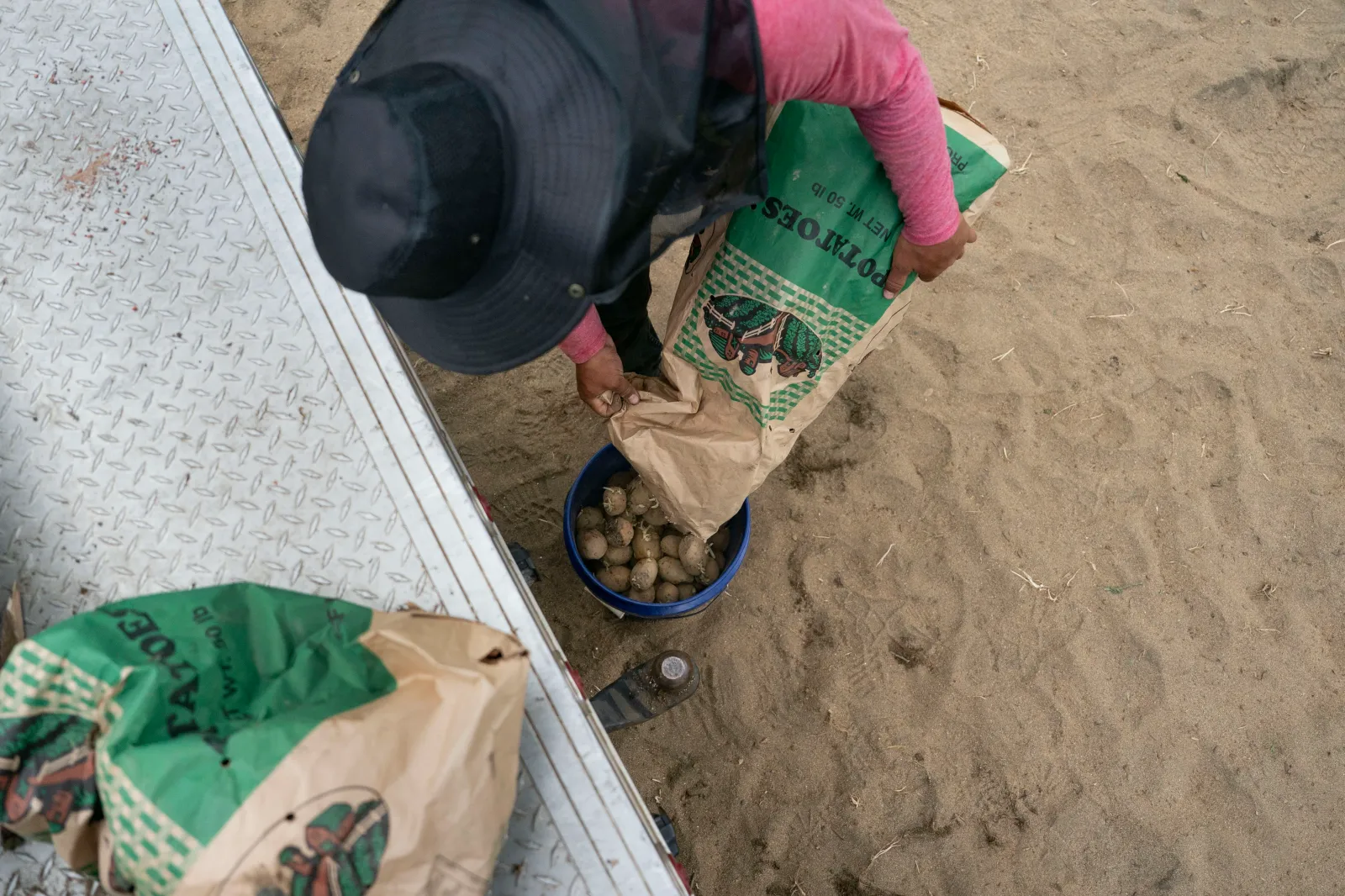 Workers pour potatoes into buckets as they plant them at Bluff View Farms on April 24, 2026, in West Jefferson, North Carolina.