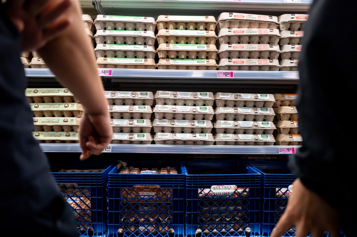 Egg Recall Update: FDA Issues Highest Risk Warning For 38 Million Eggs