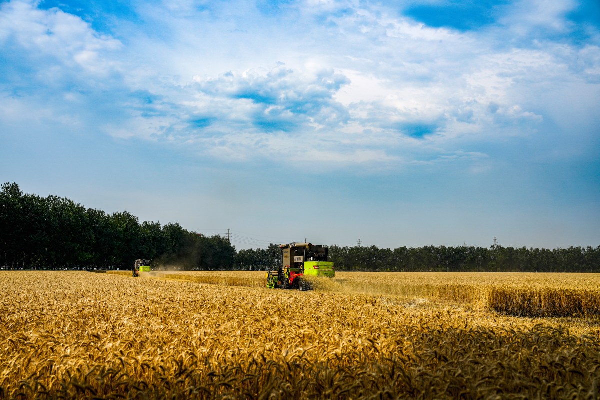 How El Niño Could Spark Global Crisis in 2027