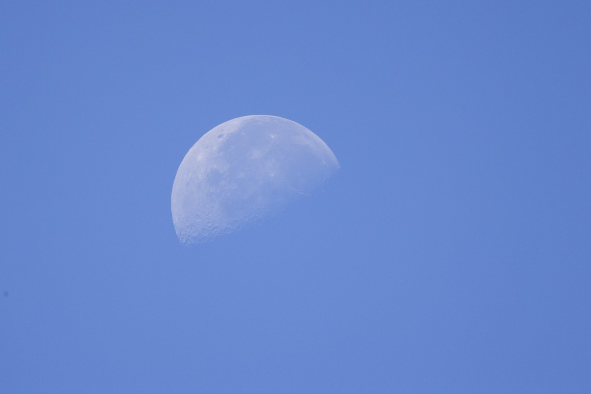 SpaceX Moon Crash Is Just Corporate Junk Under a Colonial Mindset | Opinion