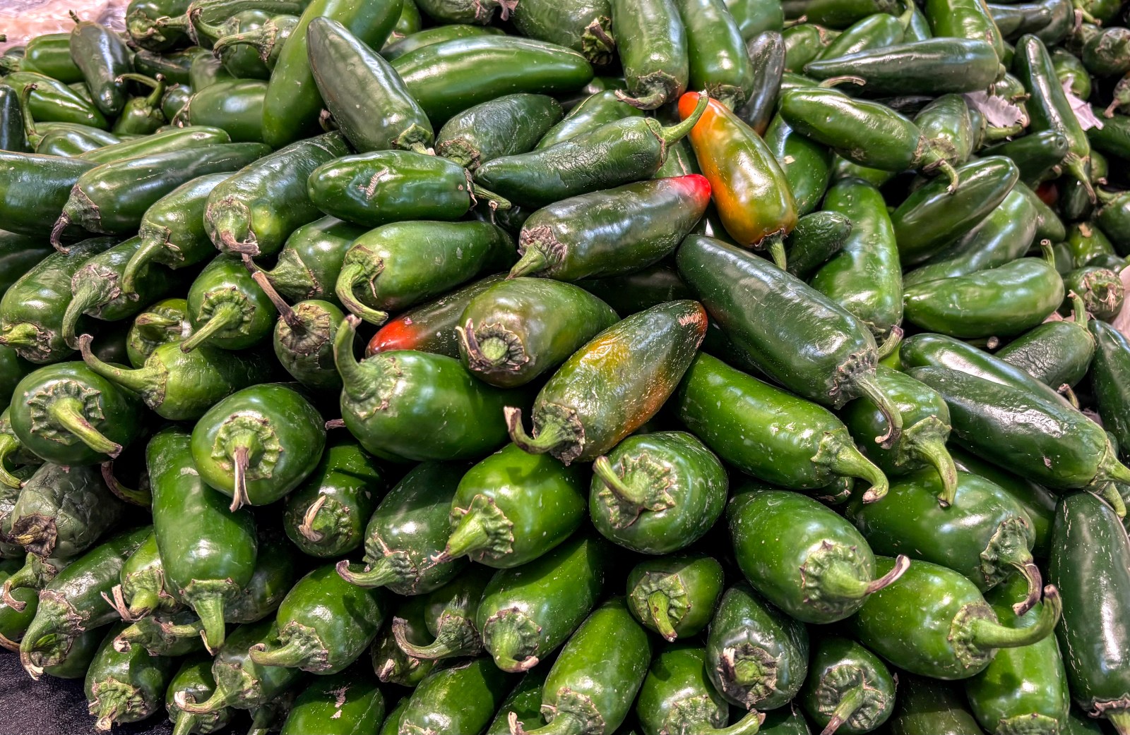 newsweek.com - Anna Skinner - Biggest FDA recalls of 2026: Taylor Farms, blueberries, eggs and more