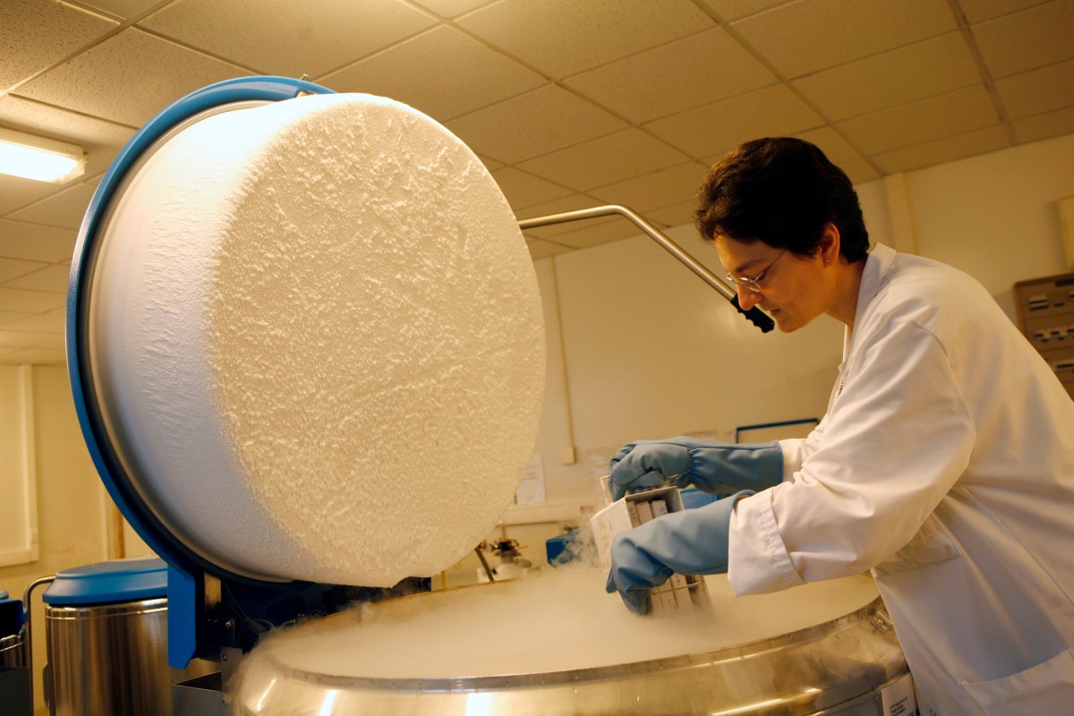 Regenerative Medicine’s Next Test: Whether the Process Matches the Promise