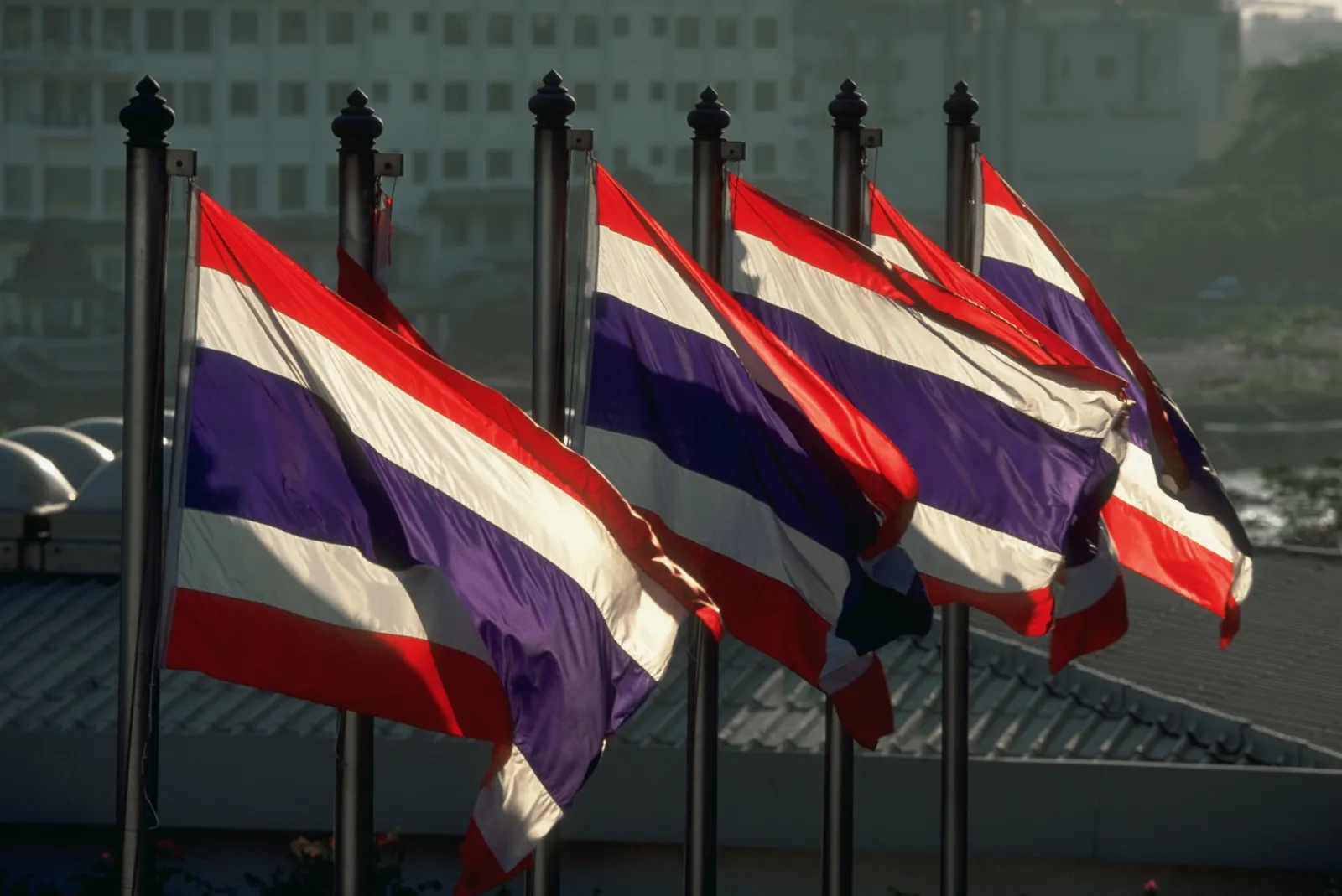 Flags of the Kingdom of Thailand fly in Bangkok. (Getty Images)