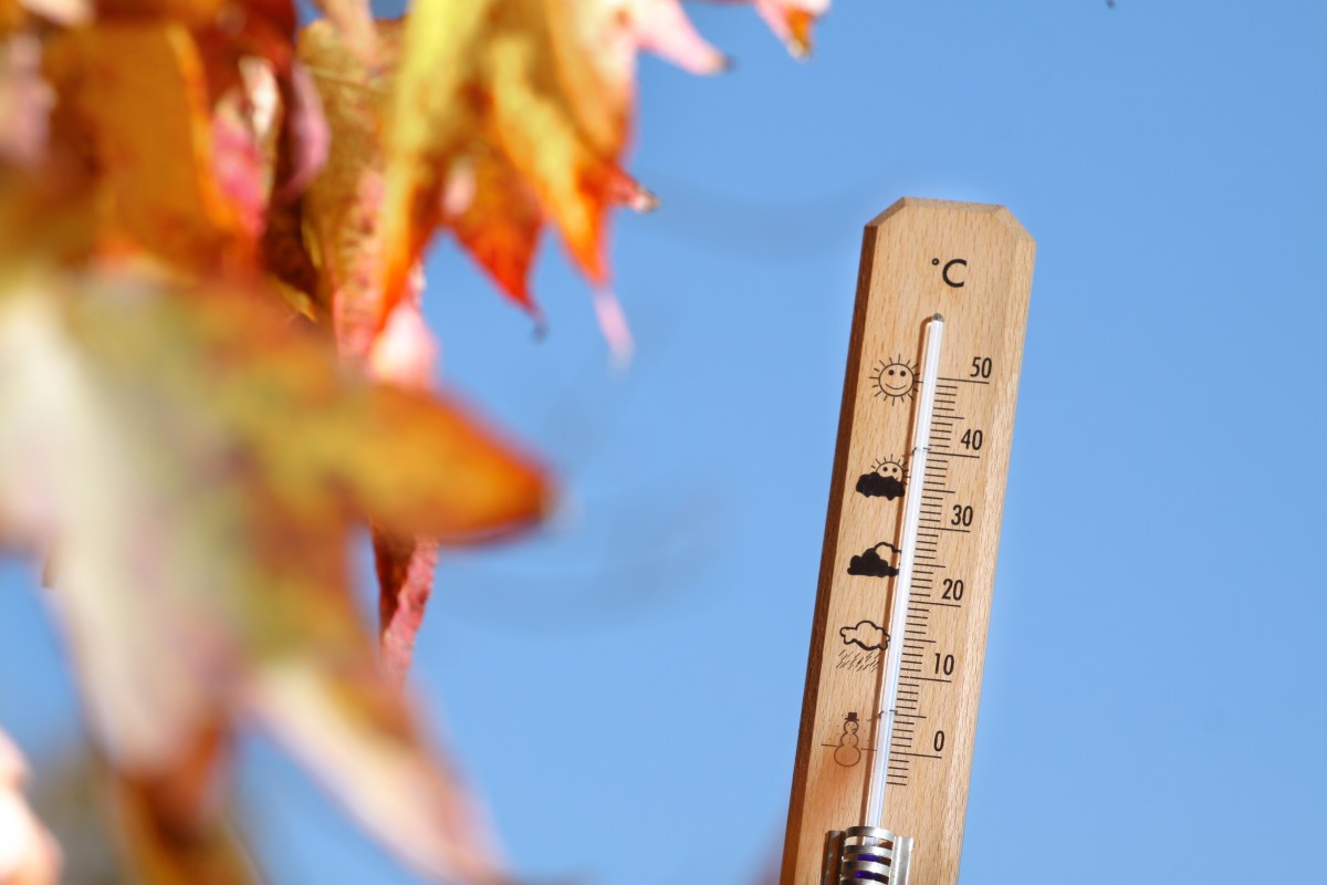 How Old Farmer's Almanac Fall Forecast Compares to National Weather Service