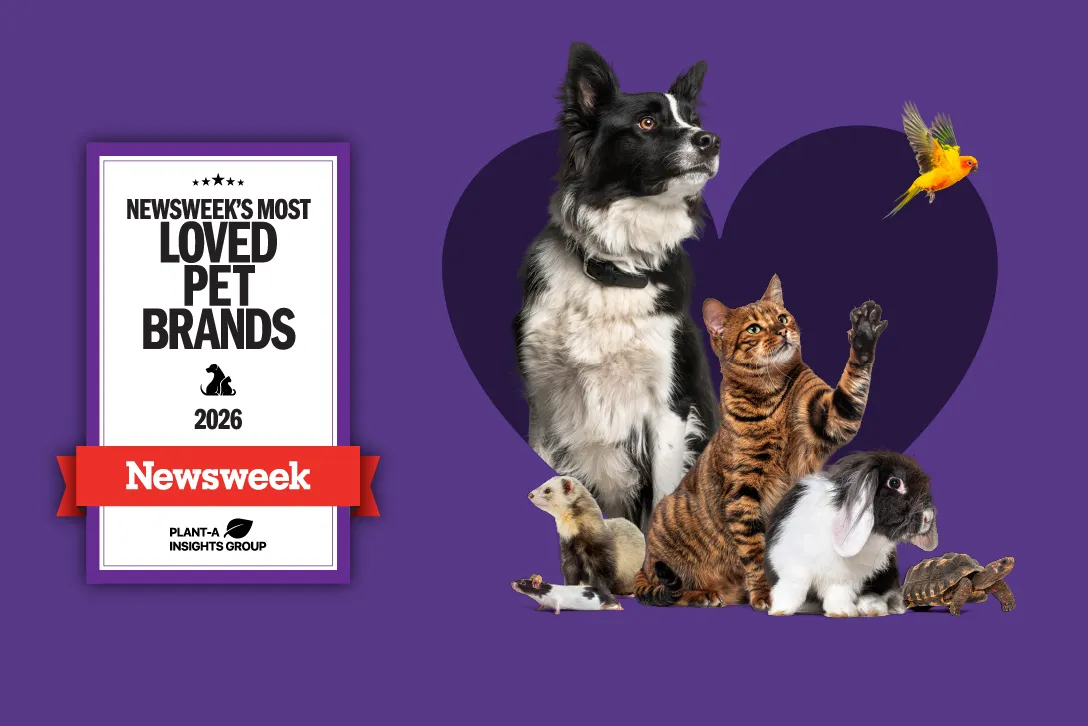 Image for article: Newsweek's Most Loved Pet Brands 2026