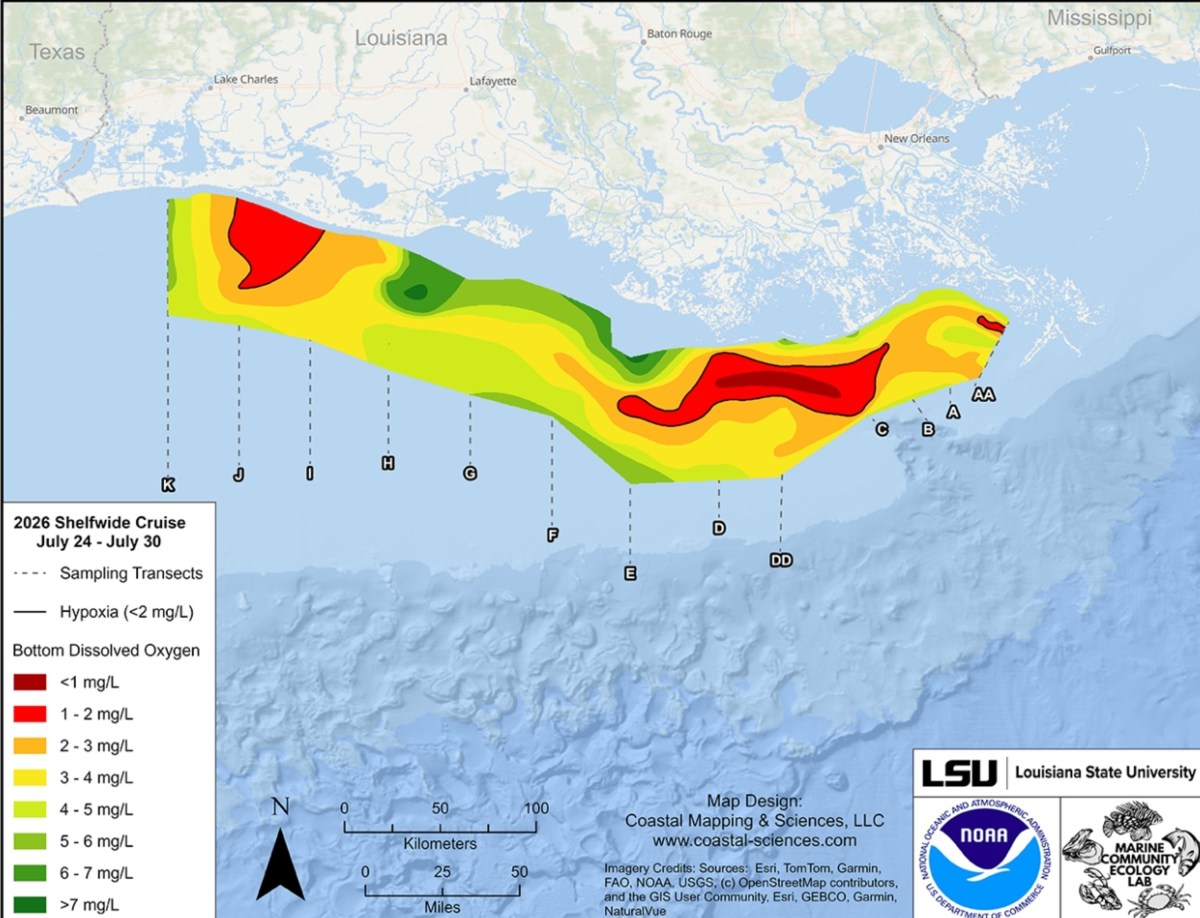 Map Shows Massive Fish-Killing 'Dead Zone' Missing Oxygen Near Gulf Coast