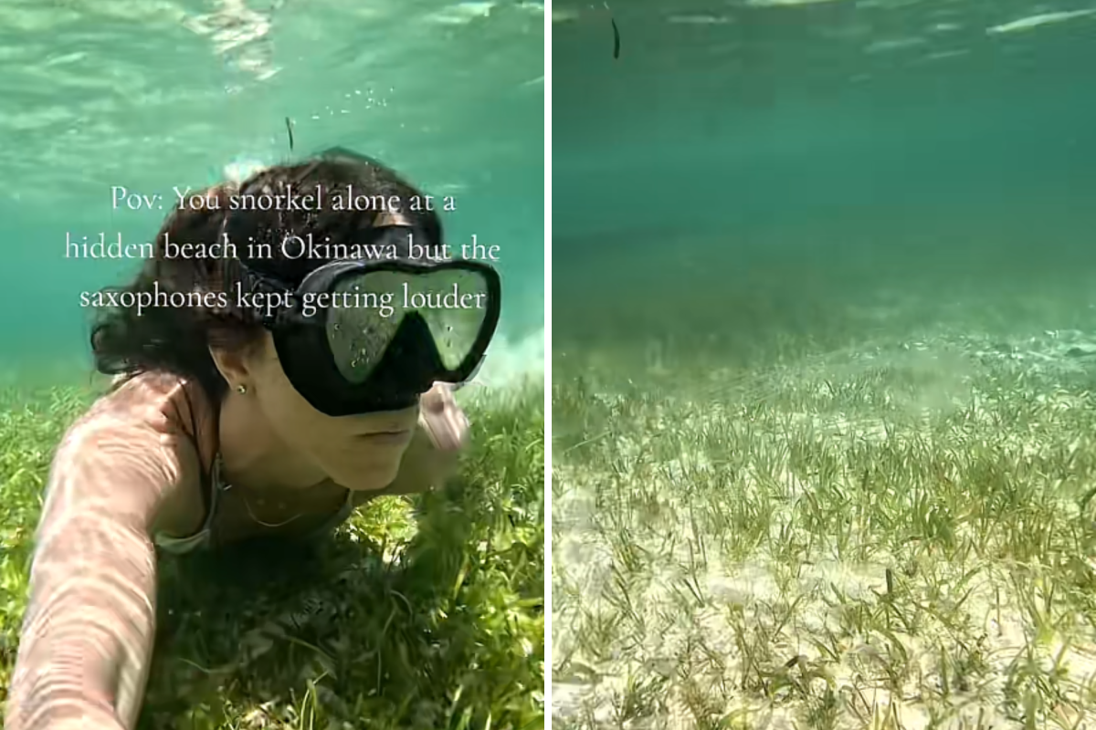 Woman Swims Alone in ‘Calm’ Seas—Then Realizes What’s in the Water With Her