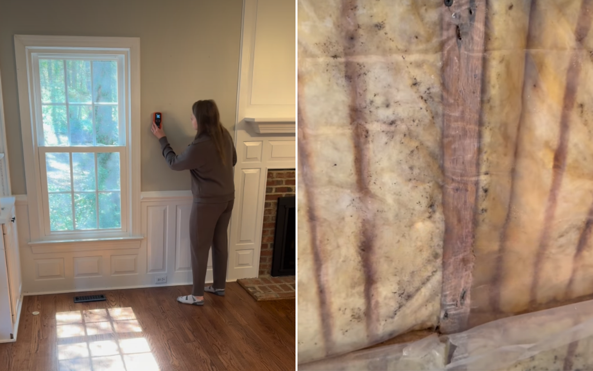 Mom Spent $300K Fighting Mold After Daughter Got Sick—Worst Was Yet To Come