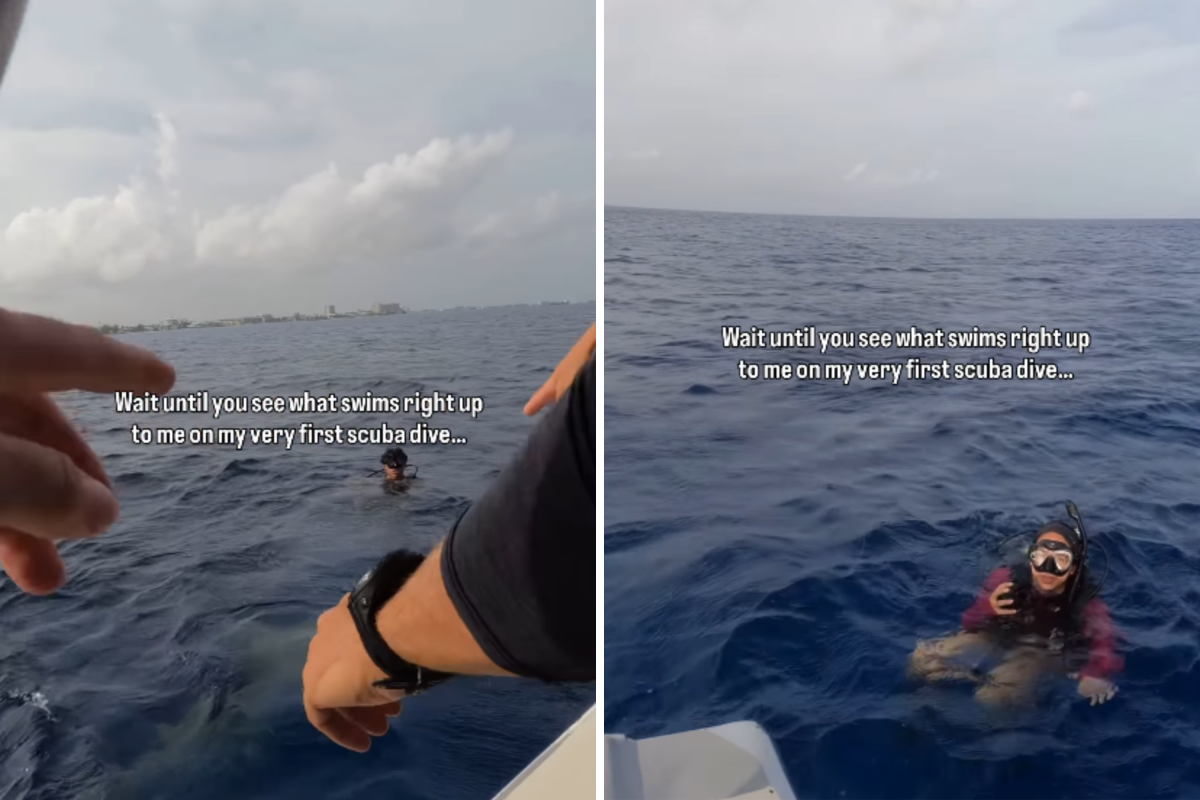 Woman Excited for First Family Scuba Diving Trip—Then the Sharks Appeared Woman Excited for First Family Scuba Diving Trip—Then the Sharks Appeared
