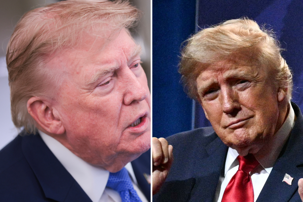 The Evolution of Donald Trump's Hair in Photos