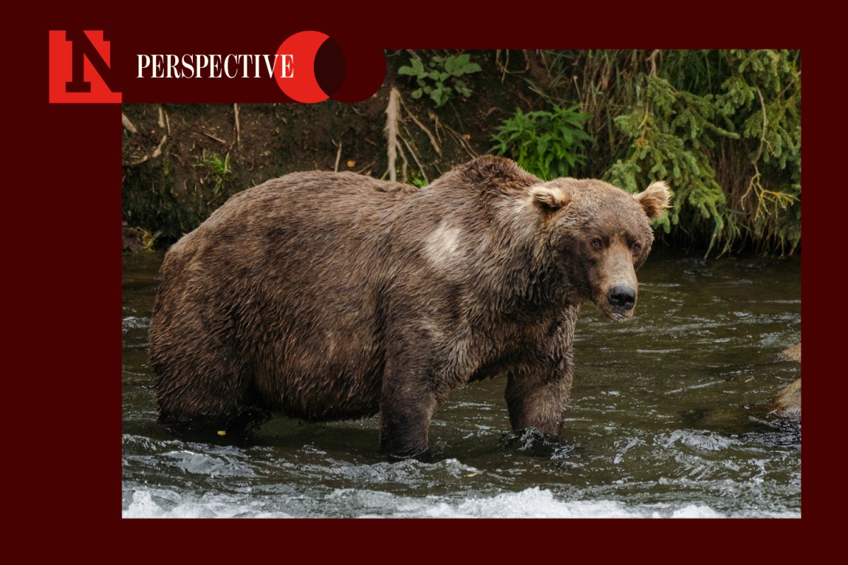 We’re All Fat Bears, Really