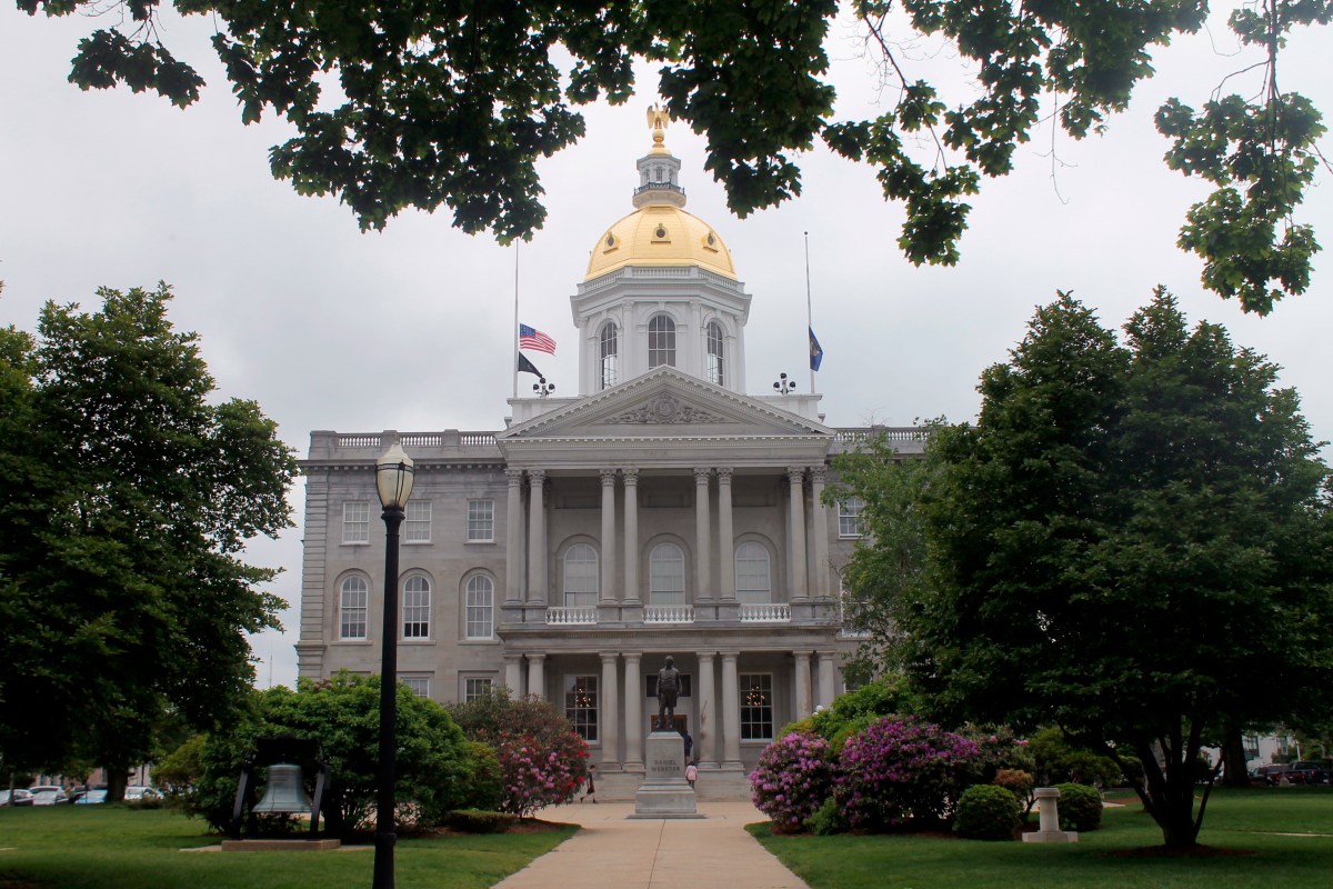 New Hampshire Libertarian 'Vote GOP' Message Backs Assassinating Democrats