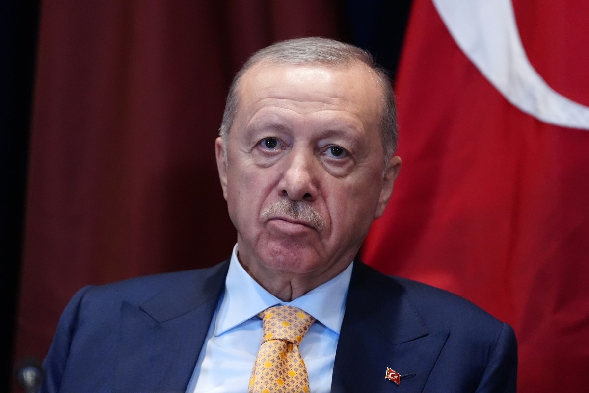 Exclusive: Erdogan Warns Israel over 'Misguided Narrative' of Turkey Threat
