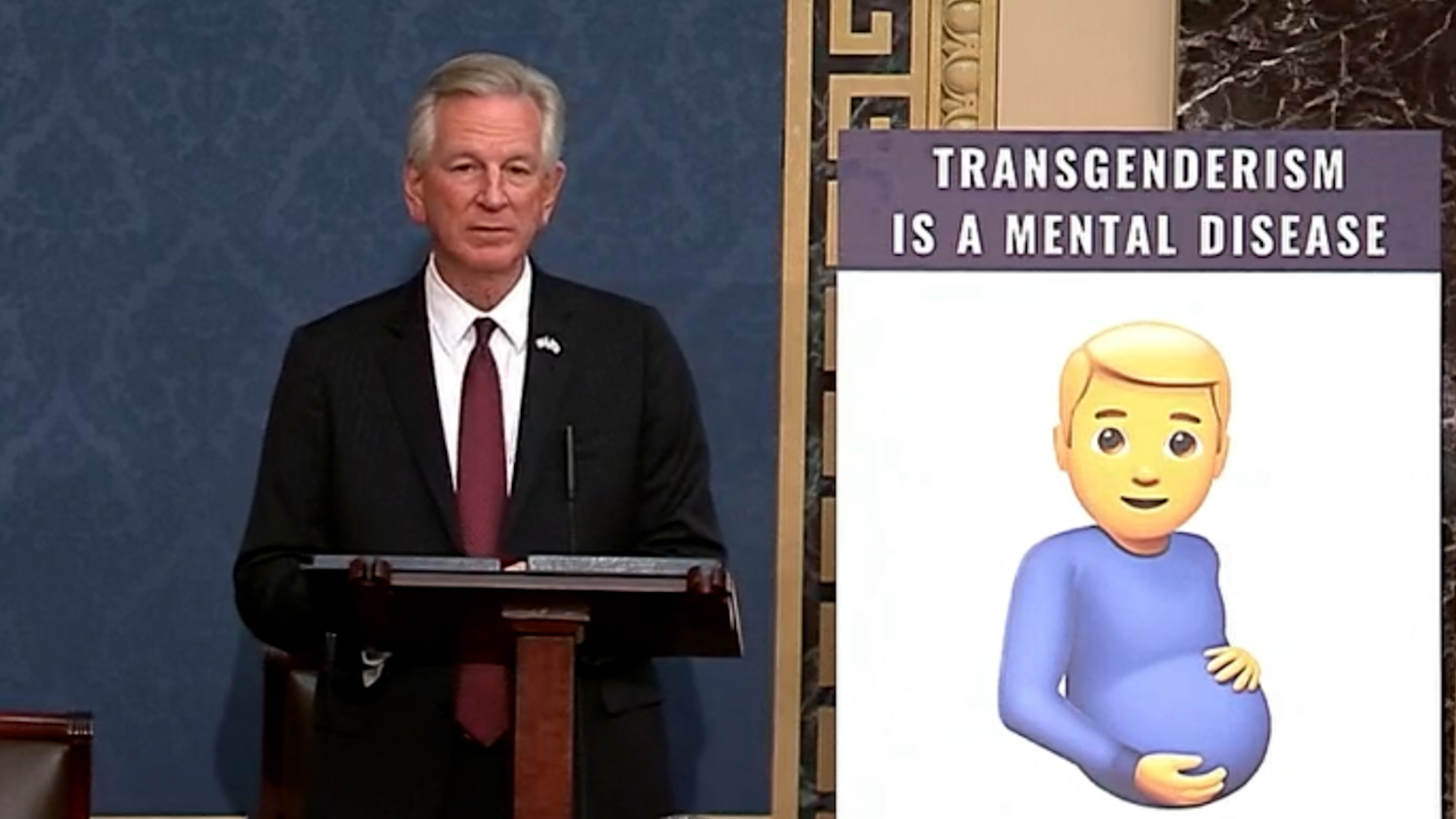 Tommy Tuberville Claims ‘Many’ Pilots, Flight Attendants Are Furries - Newsweek