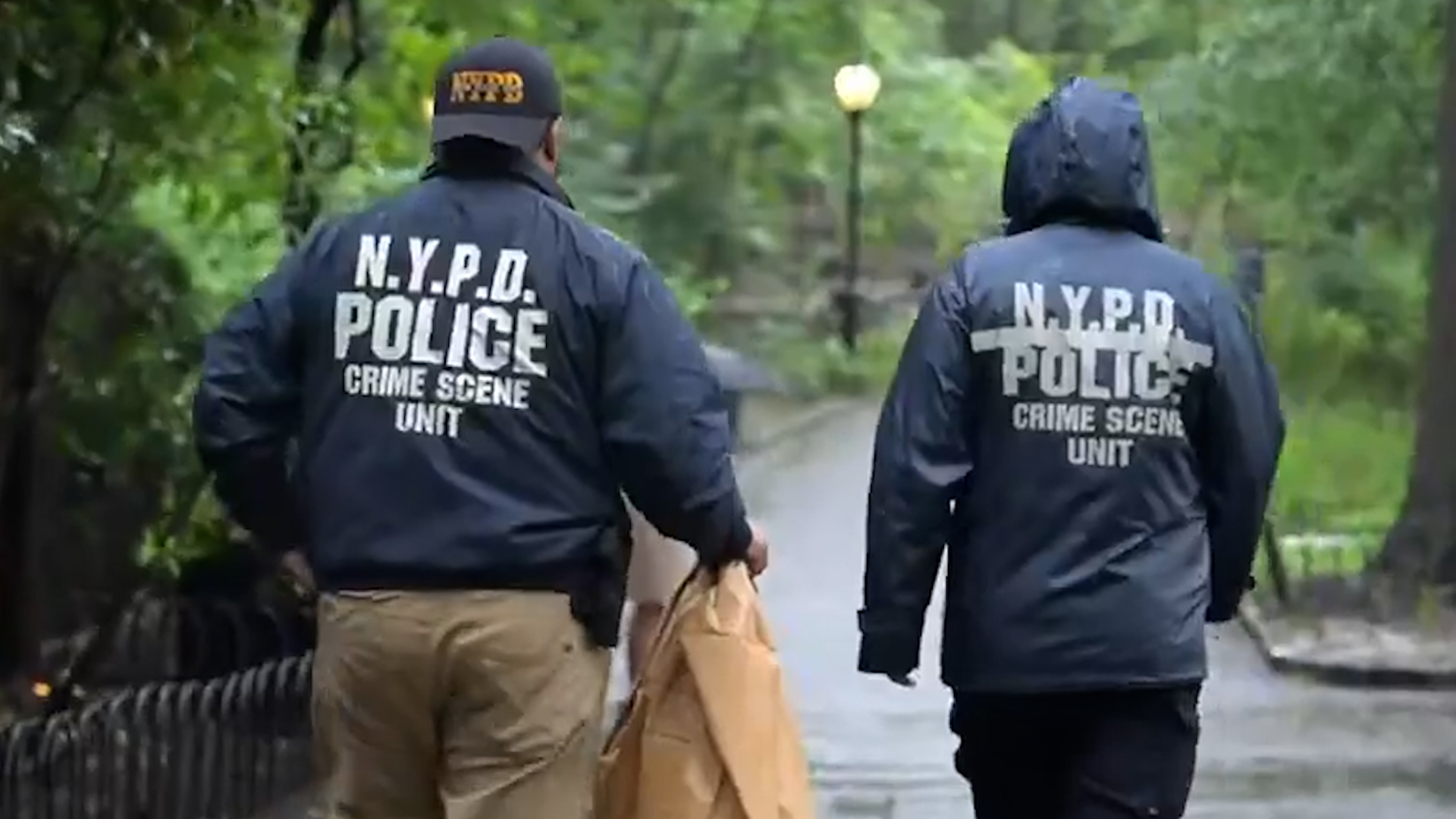 Homeless Man Charged With Murder After Woman Found Dead In Central Park ...