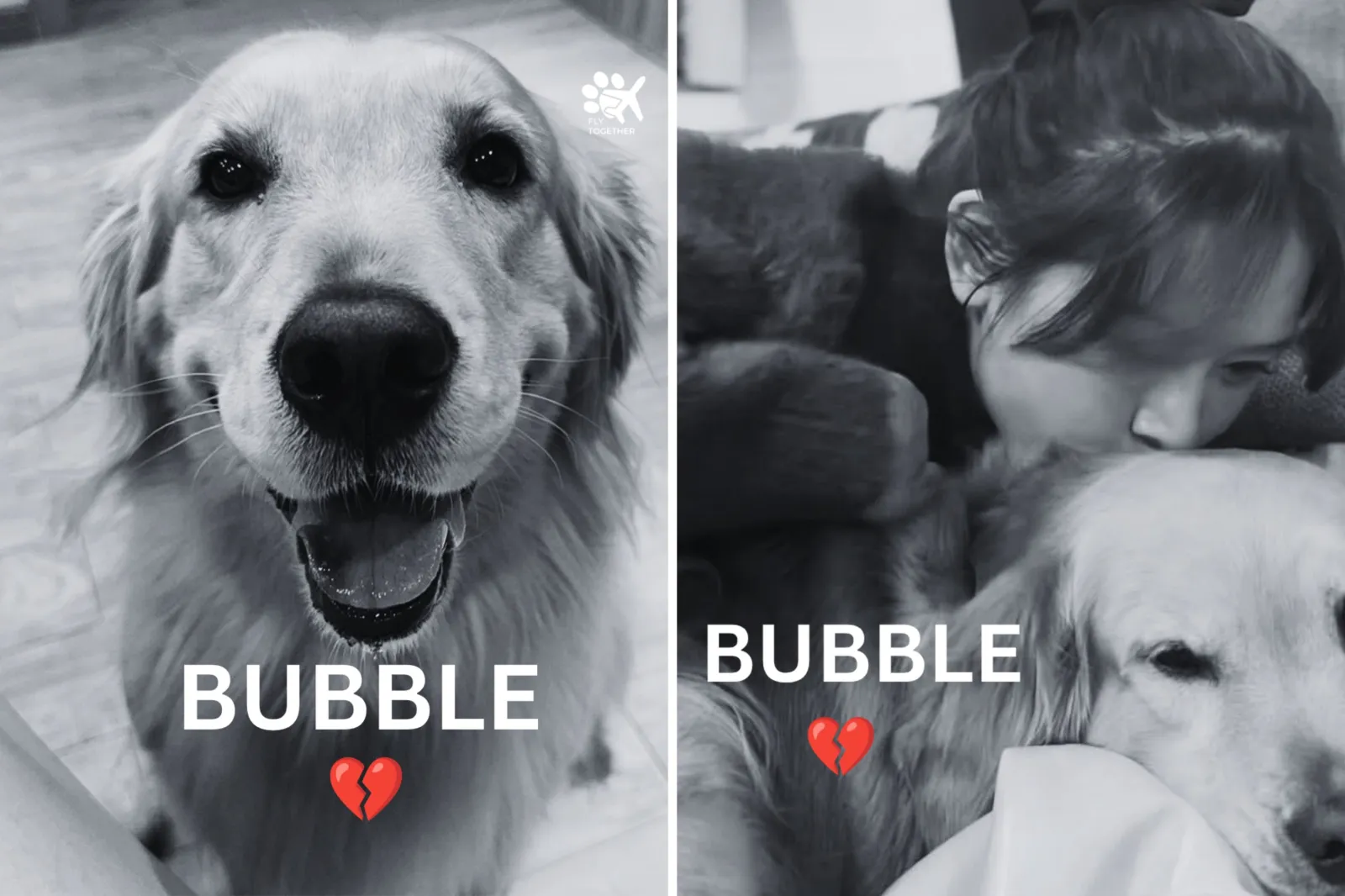 Images of Bubble with her owner Jennifer.