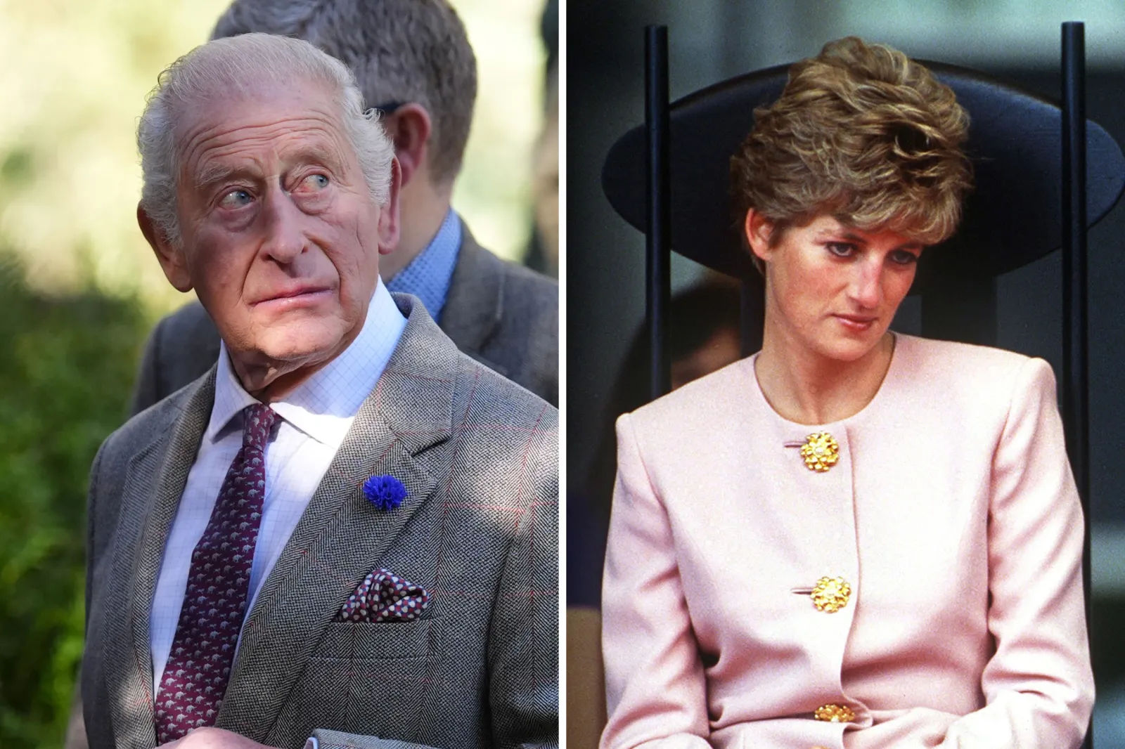 King Charles Sounded 'Giddily Elated' After Diana's Death, Her Brother Says - Newsweek