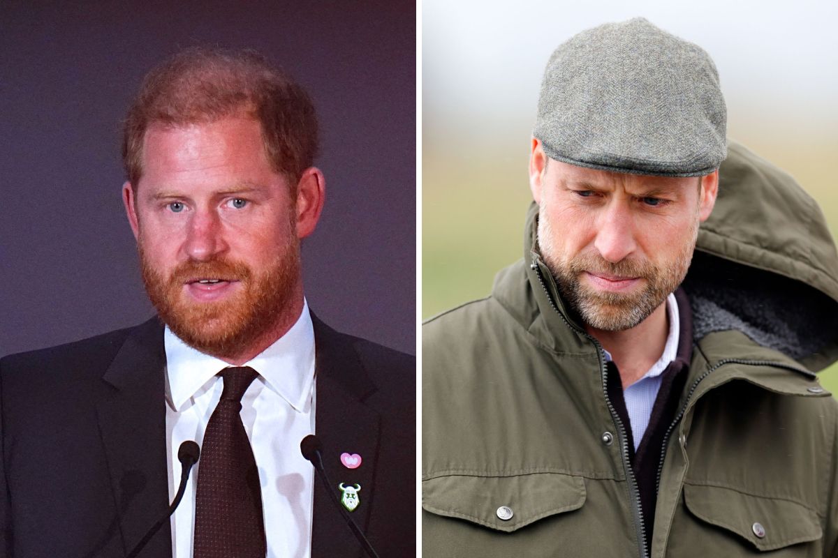 Prince Harry& 039;s Possible Diana Documentary Is a Nightmare for William Prince Harry& 039;s Possible Diana Documentary Is a Nightmare for William