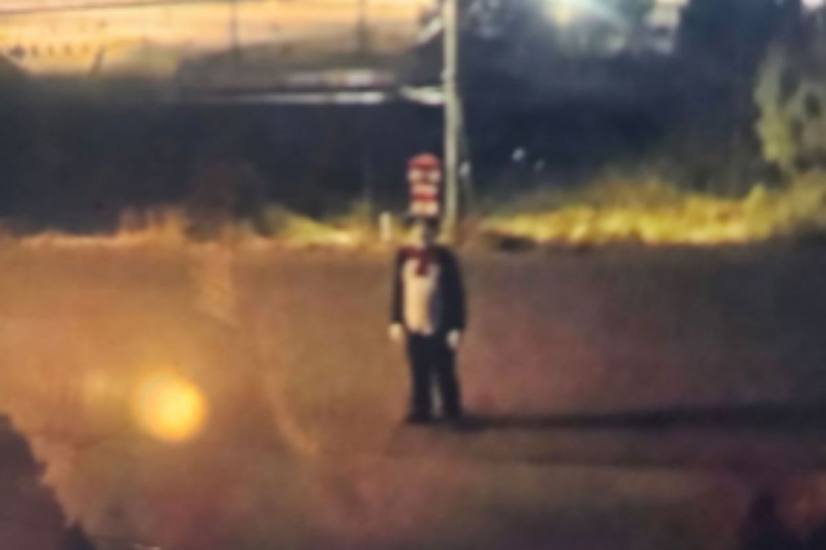 'Cat in the Hat' Trend Sparks New Warnings