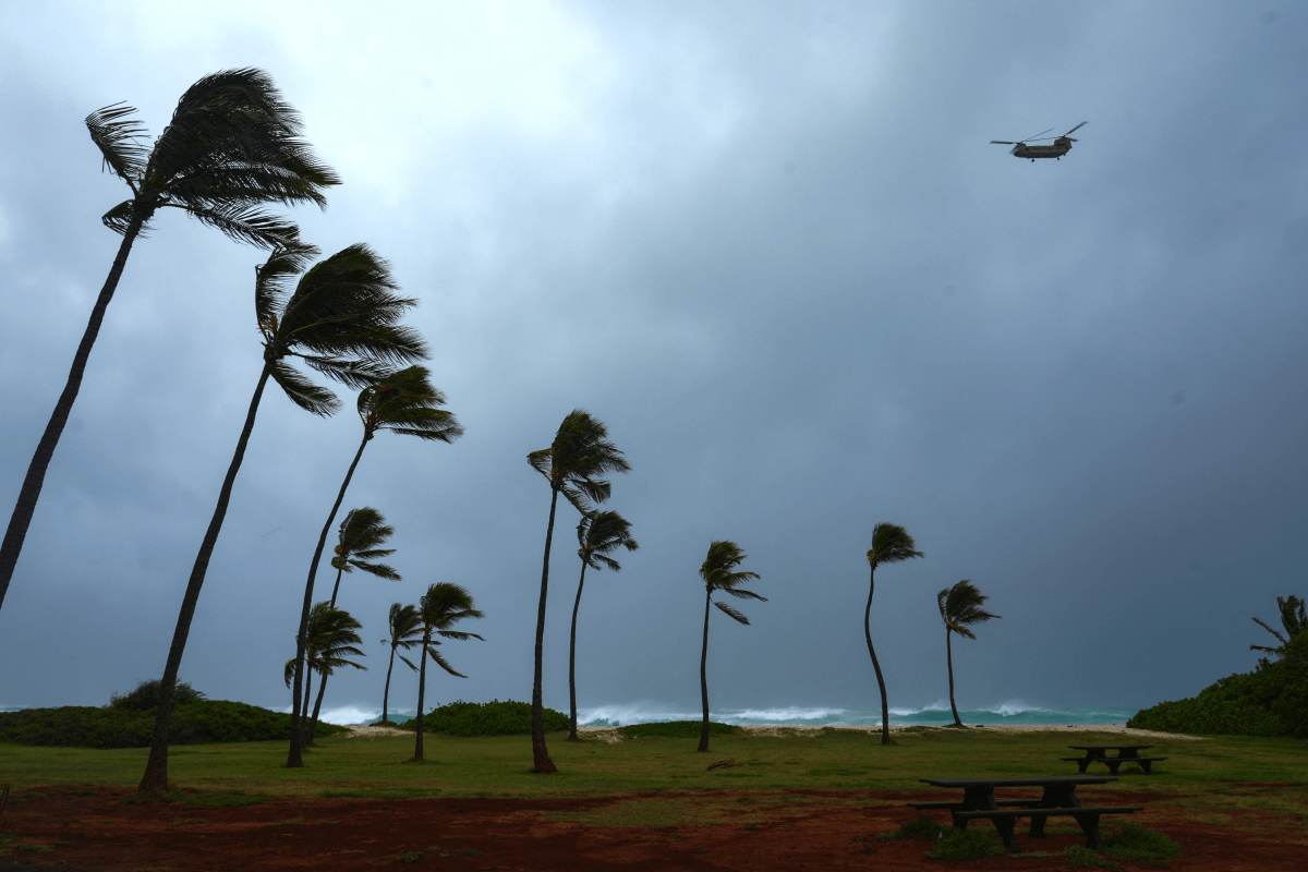 Hurricane Lowell: List of School Closures in Hawaii as Storm Hits